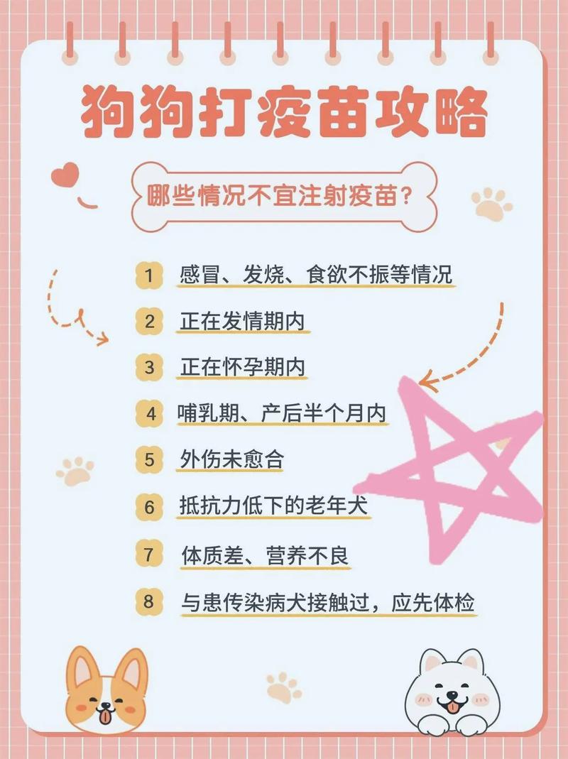 狗狗怀孕期间究竟能不能打疫苗？对胎儿和母犬会有哪些影响？-第1张图片-郑州医学网