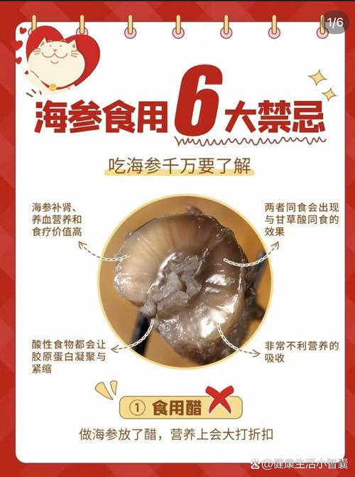 儿童几岁开始吃海参合适?不同年龄段食用有哪些注意事项?-第3张图片-郑州医学网 儿童几岁开始吃海参合适?不同年龄段食用有哪些注意事项?-第3张图片-郑州医学网