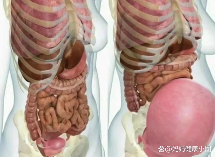 孕期胃难受是激素变化还是子宫压迫？如何缓解这种不适？-第3张图片-郑州医学网