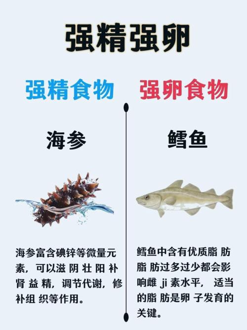 备孕期男性饮食指南，吃什么能提升精子质量与受孕几率？-第1张图片-郑州医学网