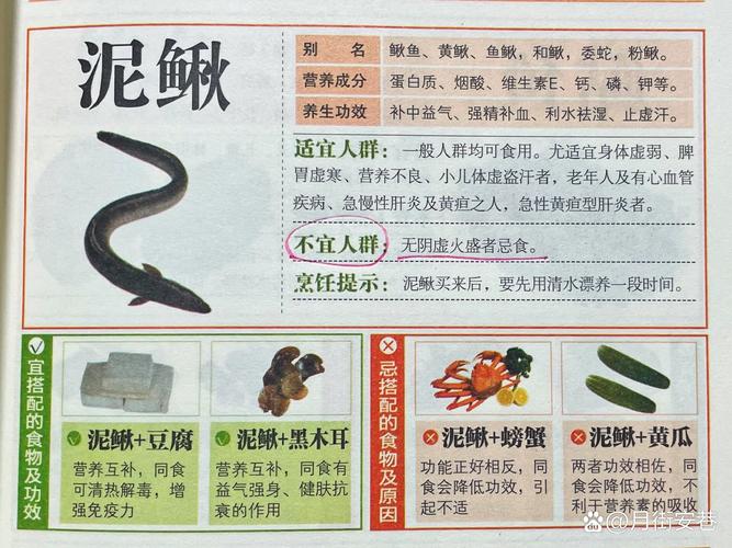 儿童常吃泥鳅对生长发育有哪些具体好处？需注意哪些食用禁忌？-第2张图片-郑州医学网
