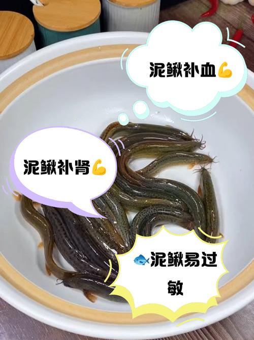 儿童常吃泥鳅对生长发育有哪些具体好处？需注意哪些食用禁忌？-第3张图片-郑州医学网
