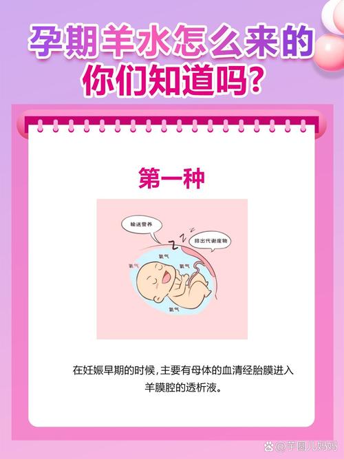 孕期羊水循环如何排出？羊水循环机制与排出途径详解-第1张图片-郑州医学网