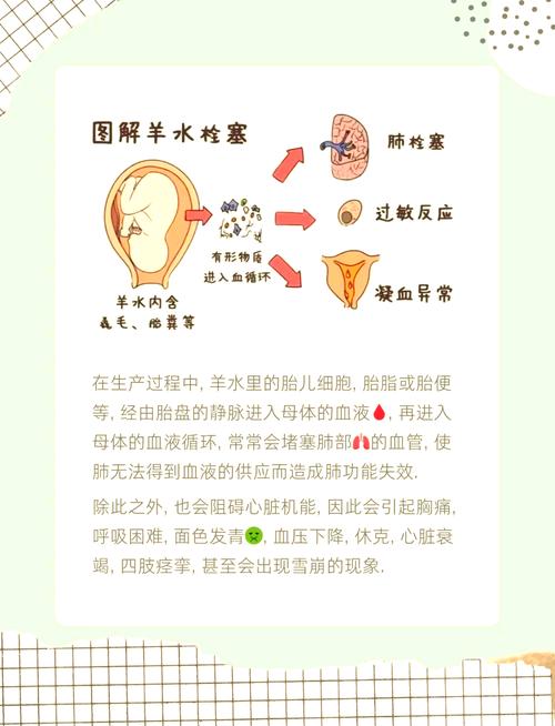 孕期羊水循环如何排出？羊水循环机制与排出途径详解-第3张图片-郑州医学网