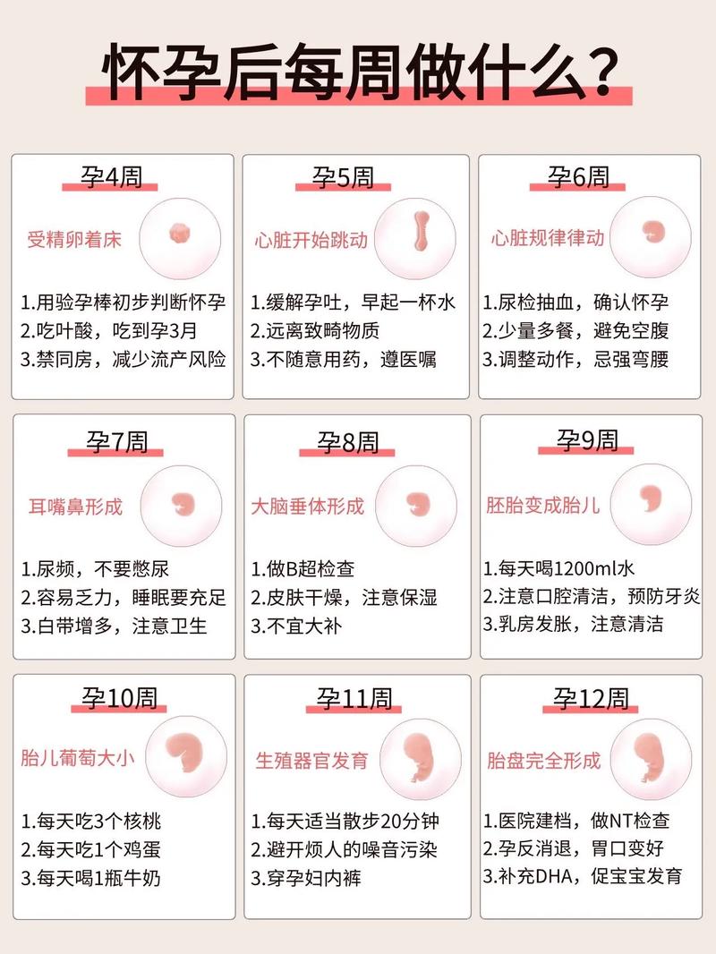 孕期十五周该做哪些检查？这些检查分别有什么作用？-第2张图片-郑州医学网