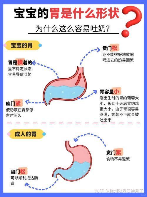 新生儿吃太饱吐奶是消化不良还是喂养方式错了？怎么预防？-第2张图片-郑州医学网