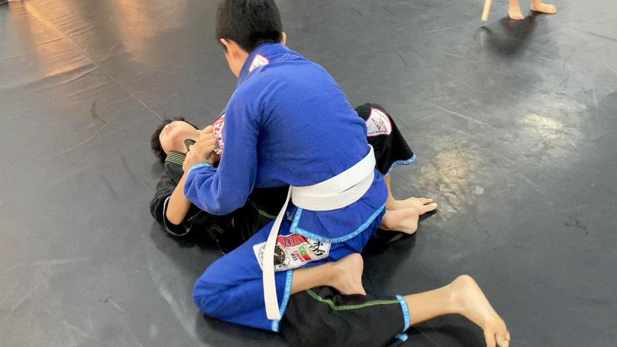 儿童柔术压腿疼哭视频，该反思训练方式还是孩子抗压能力不足？-第3张图片-郑州医学网