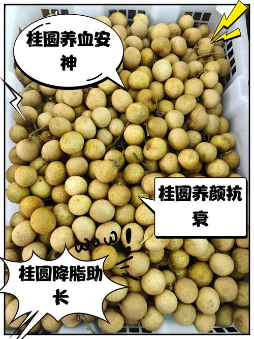 备孕期女性吃桂圆是滋补还是有风险？孕期饮食需注意什么？-第3张图片-郑州医学网