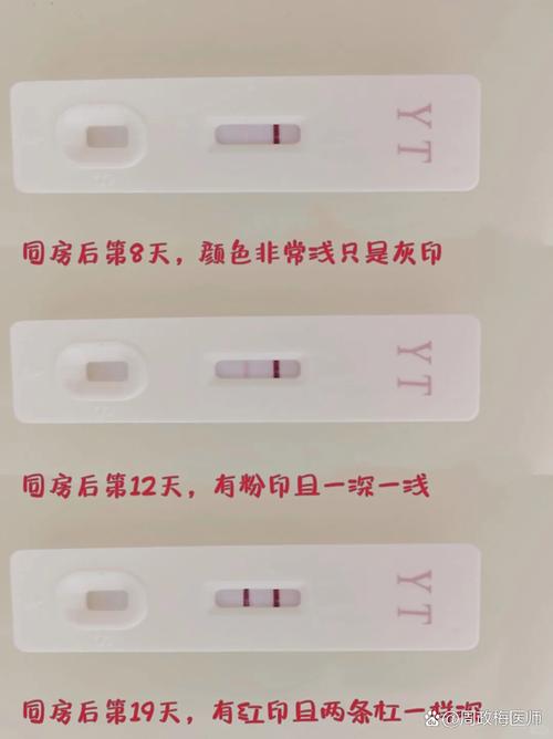 易孕期同房后几天能测出怀孕?最佳检测时间是什么时候?-第1张图片-郑州医学网 易孕期同房后几天能测出怀孕?最佳检测时间是什么时候?-第1张图片-郑州医学网