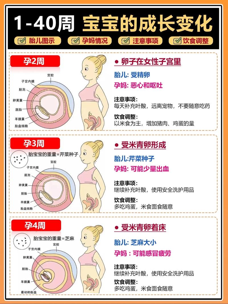 孕期胎记形成是孕期激素波动还是胎儿皮肤发育异常导致的？-第1张图片-郑州医学网