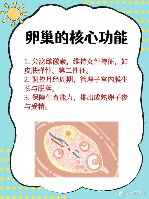 备孕期能做卵巢保养吗？科学还是智商税？对胎儿有影响吗？-第3张图片-郑州医学网