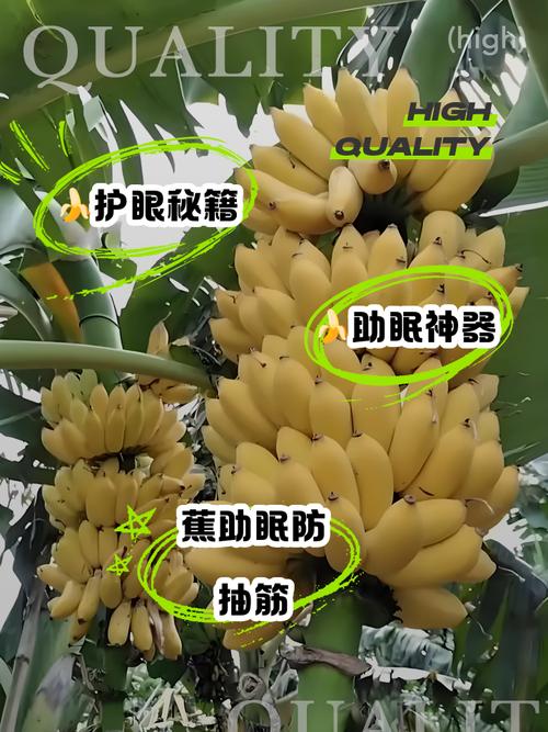 孕期睡前吃香蕉会助长体重吗？对睡眠质量有影响吗？-第3张图片-郑州医学网