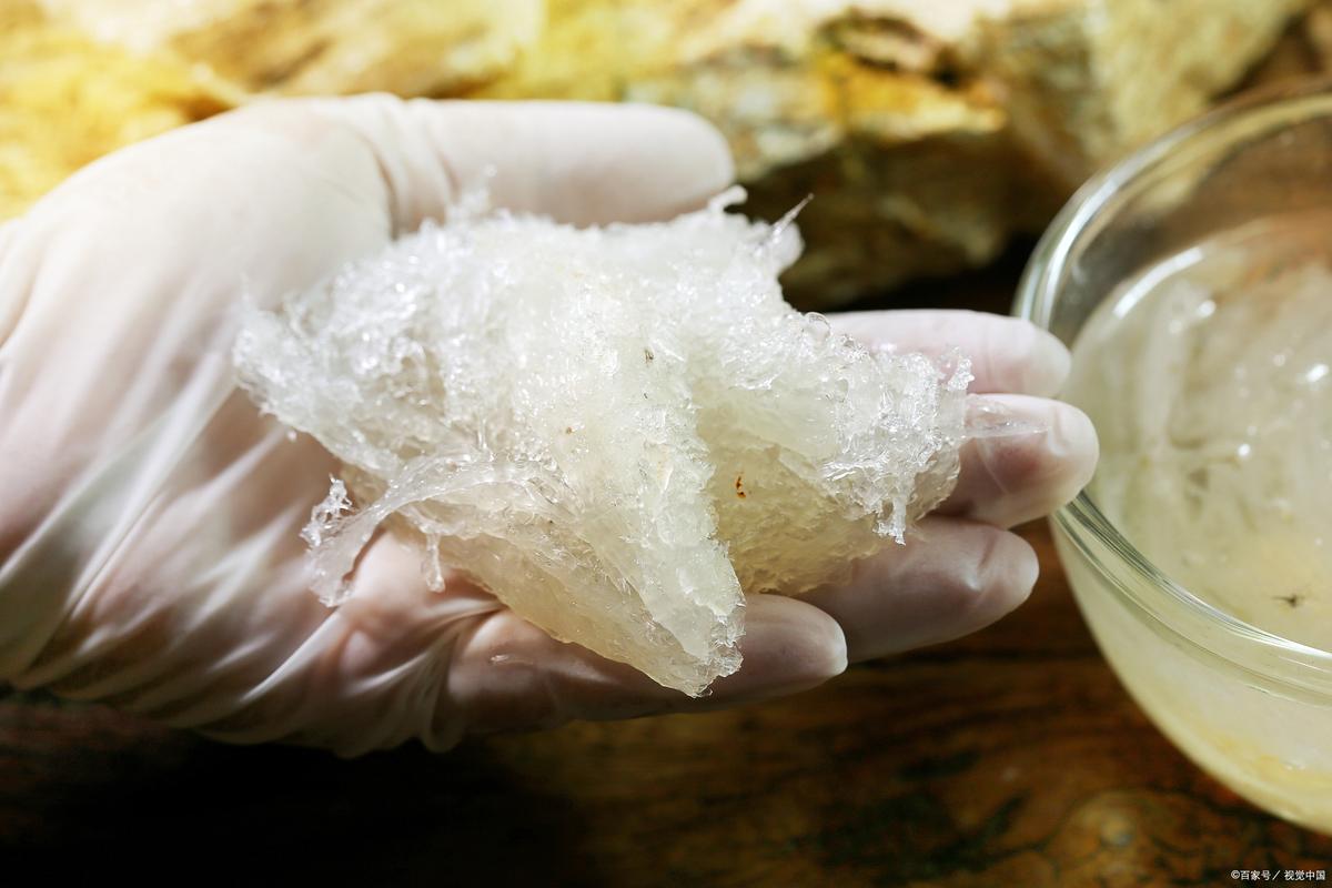 孕期燕窝搭配什么食材炖煮最营养又安全?-第2张图片-郑州医学网 孕期燕窝搭配什么食材炖煮最营养又安全?-第2张图片-郑州医学网