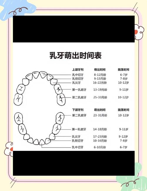 儿童过早换牙是发育异常信号？背后隐藏哪些健康隐患？-第3张图片-郑州医学网