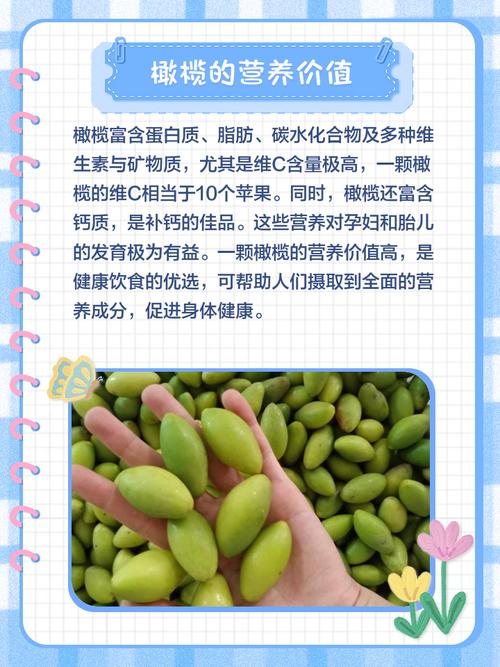 孕期吃橄榄会影响胎儿发育吗？有哪些科学依据支持或反对？-第1张图片-郑州医学网