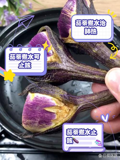 儿童茄子头煮水治咳嗽真的有效吗？科学依据和风险是什么？-第1张图片-郑州医学网