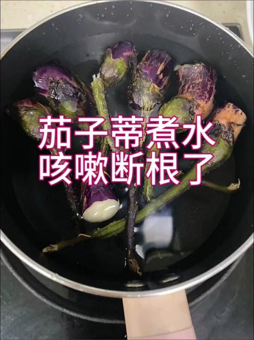 儿童茄子头煮水治咳嗽真的有效吗？科学依据和风险是什么？-第2张图片-郑州医学网