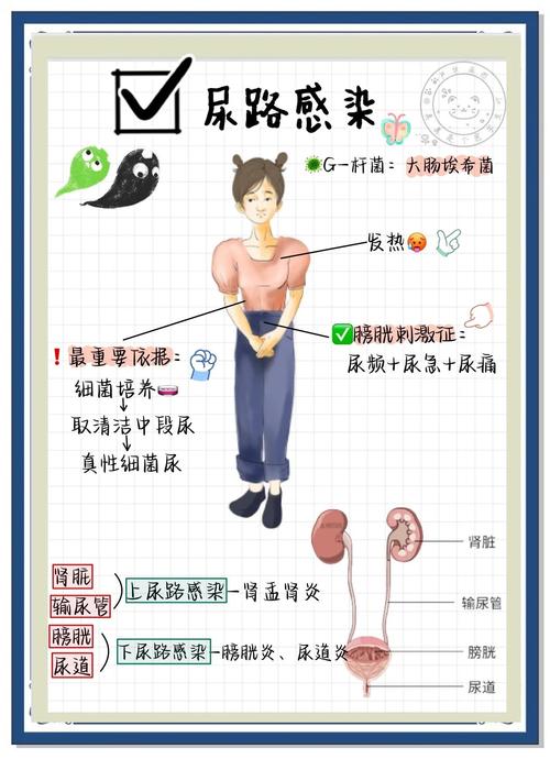 孕期尿路感染高发，如何科学预防保障母婴健康？-第3张图片-郑州医学网