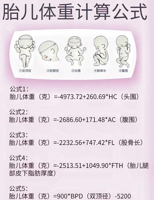 孕期宝宝的体重究竟是怎么算出来的？准爸妈该如何科学估算胎儿体重？-第1张图片-郑州医学网