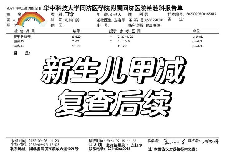 孕妇甲减对新生儿影响-第1张图片-郑州医学网 孕妇甲减对新生儿影响-第1张图片-郑州医学网