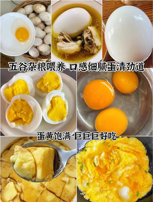 儿童吃鹅蛋的做法大全，有哪些简单又营养的做法适合不同年龄段？-第1张图片-郑州医学网