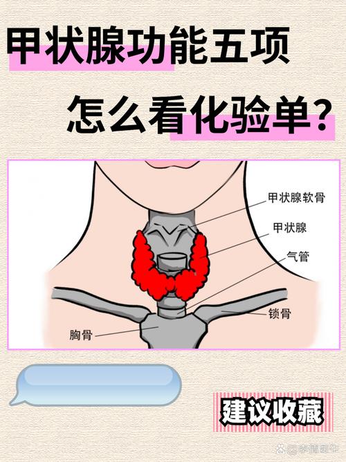 孕期甲状腺筛查到底是什么？为何准妈妈必须重视？-第3张图片-郑州医学网