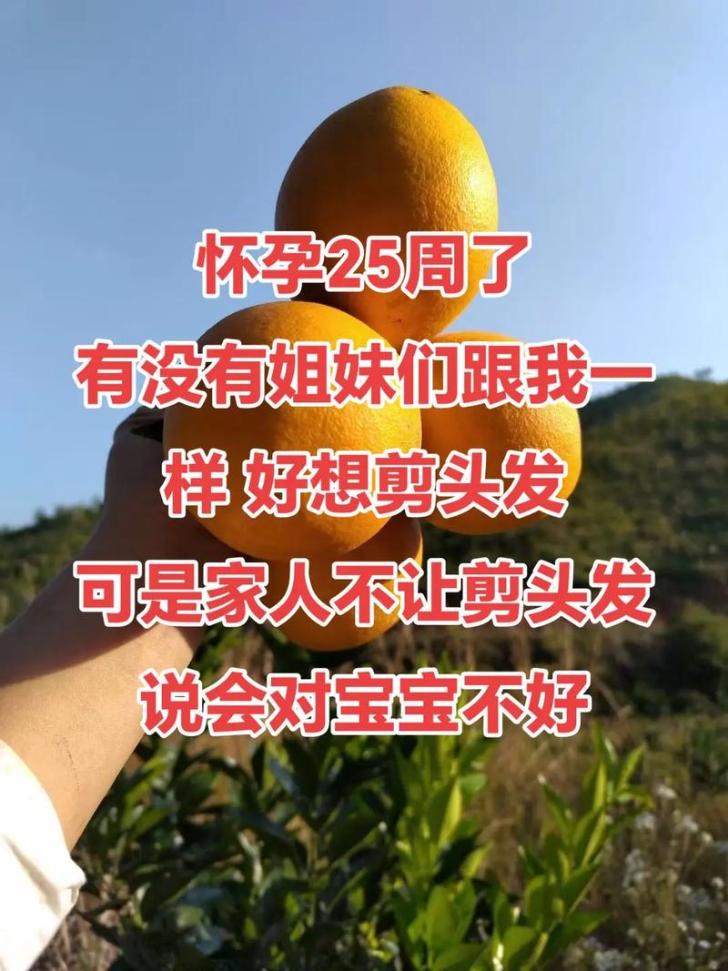 孕期剪头发会伤胎儿？传统禁忌VS科学真相，孕妈到底能不能剪发？-第1张图片-郑州医学网