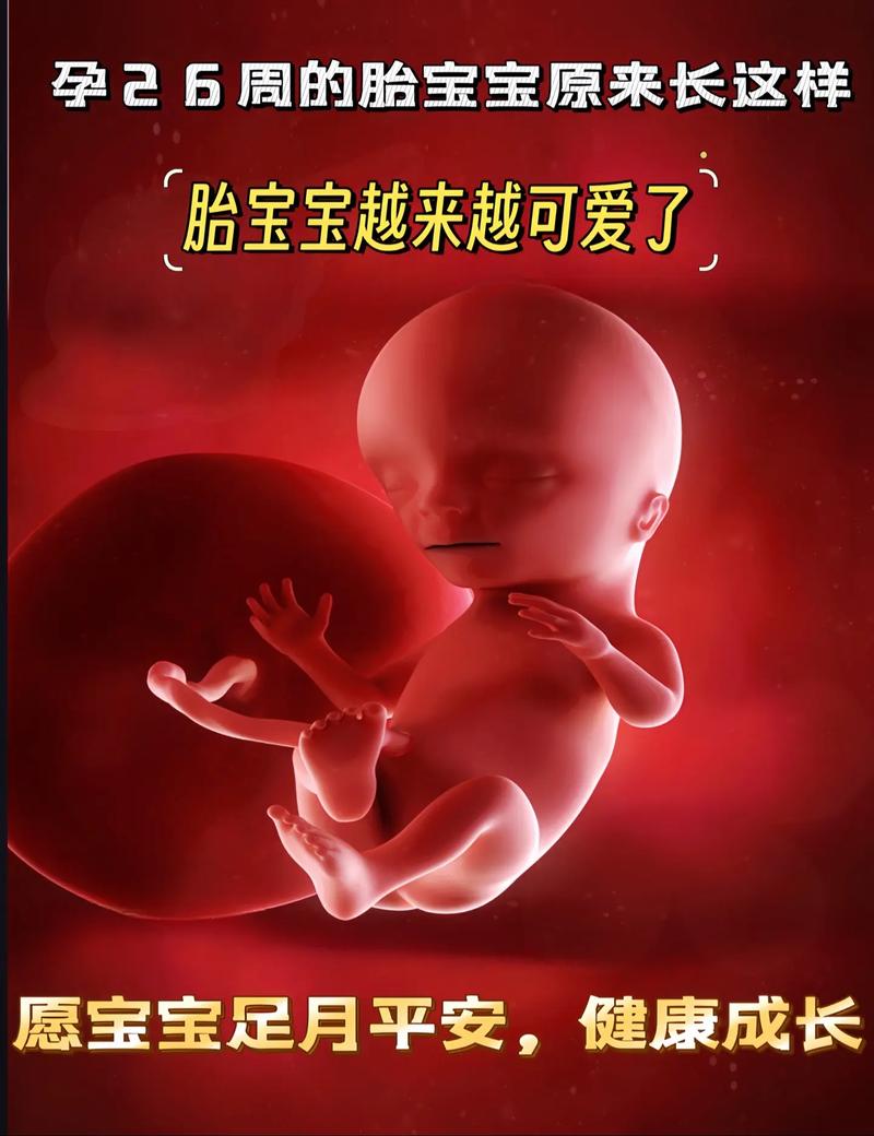 孕期26周胎儿胎动少-第1张图片-郑州医学网