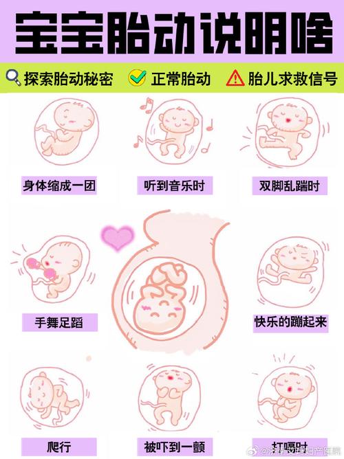 孕期26周胎儿胎动少-第3张图片-郑州医学网