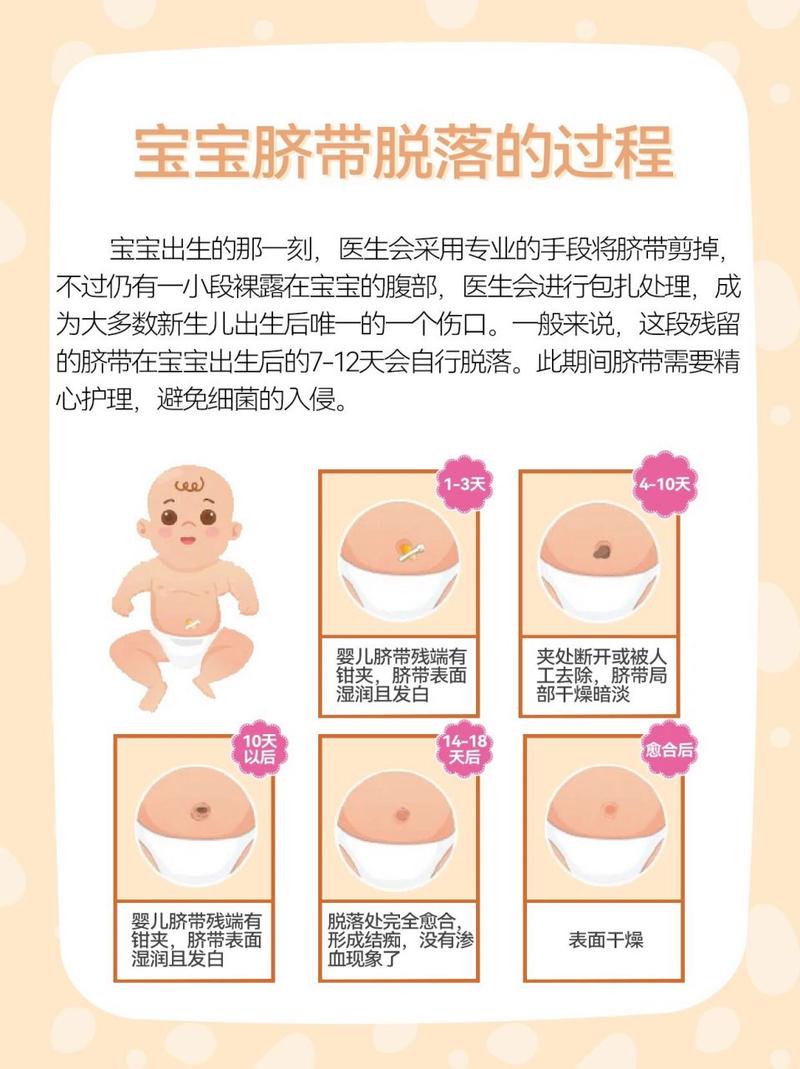 新生儿肚脐带根部有血丝是感染还是脱落异常?需如何护理处理?-第3张图片-郑州医学网 新生儿肚脐带根部有血丝是感染还是脱落异常?需如何护理处理?-第3张图片-郑州医学网