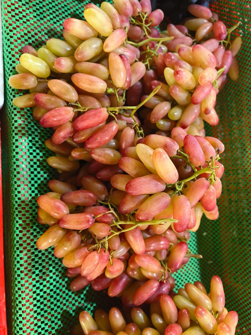 孕期可以吃马奶葡萄吗-第3张图片-郑州医学网