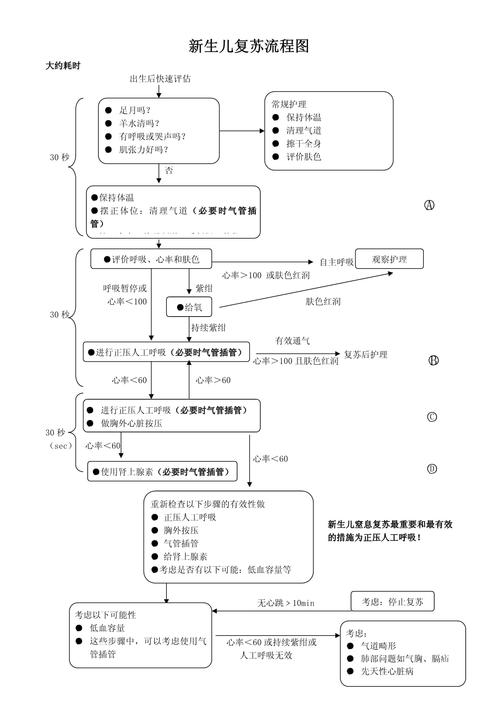 新生儿初步复苏及答案-第1张图片-郑州医学网