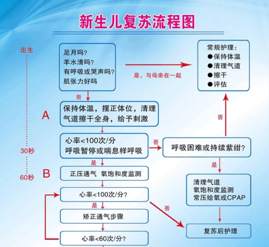 新生儿初步复苏及答案-第3张图片-郑州医学网