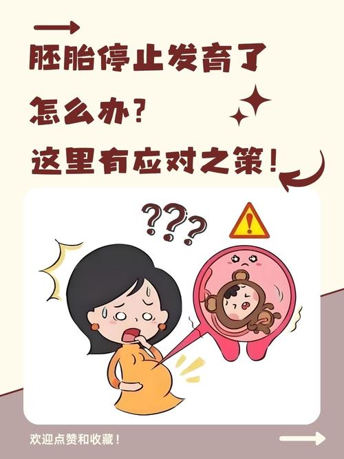 孕期胎心停会有哪些明显症状出现？-第3张图片-郑州医学网