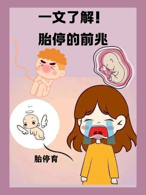 孕期胎心停会有哪些明显症状出现？-第1张图片-郑州医学网