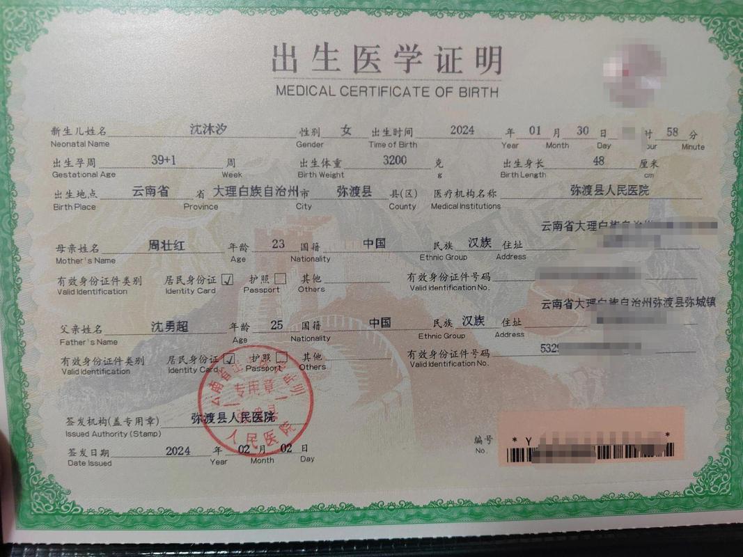 新生儿 医疗证 上海-第2张图片-郑州医学网