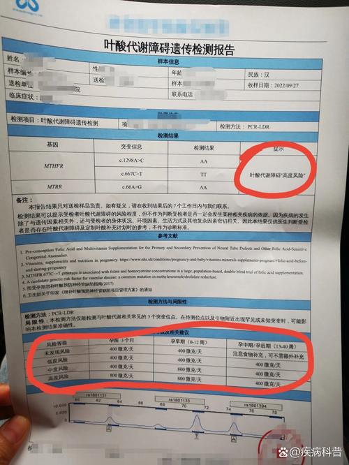 孕期叶酸代谢能力检测-第1张图片-郑州医学网