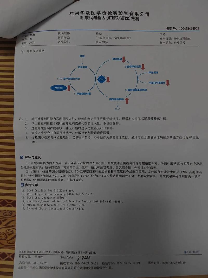 孕期叶酸代谢能力检测-第2张图片-郑州医学网