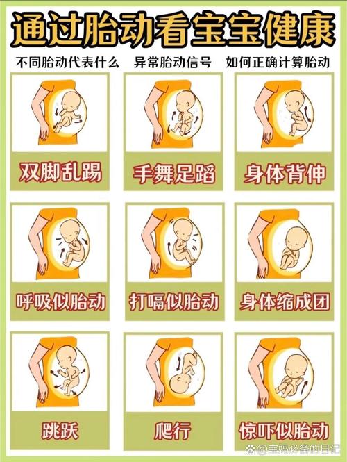 孕期多少周胎动最频繁-第1张图片-郑州医学网
