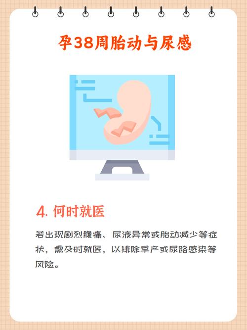 孕期多少周胎动最频繁-第3张图片-郑州医学网