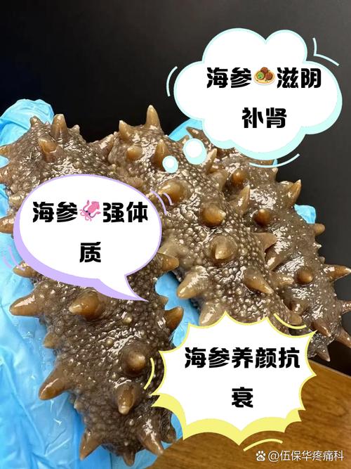 孕期每天吃海参,真的安全又营养吗?-第3张图片-郑州医学网 孕期每天吃海参,真的安全又营养吗?-第3张图片-郑州医学网