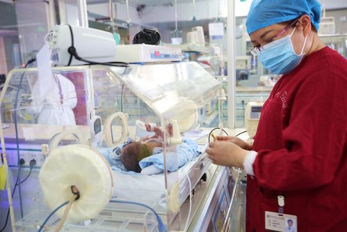 新生儿重症监护室护士，如何守护脆弱生命的每一秒？-第1张图片-郑州医学网