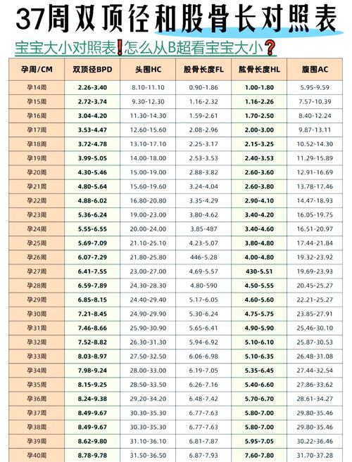 孕期如何估算胎儿体重-第1张图片-郑州医学网