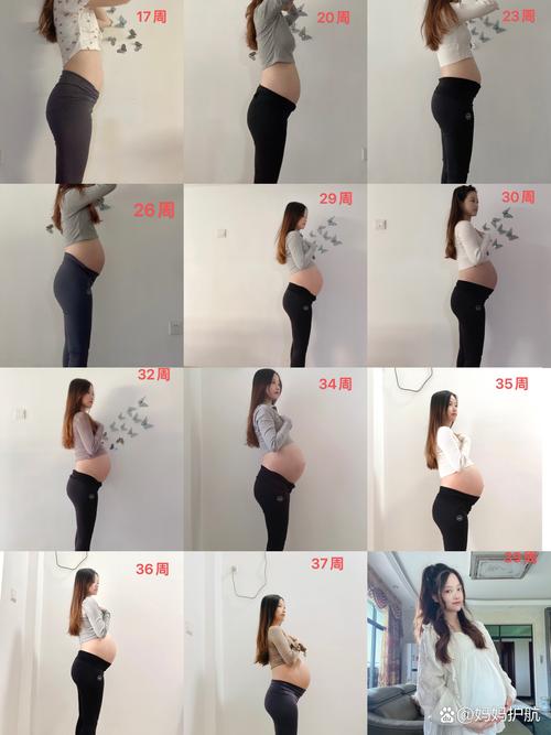 孕期每个阶段肚子多大-第1张图片-郑州医学网