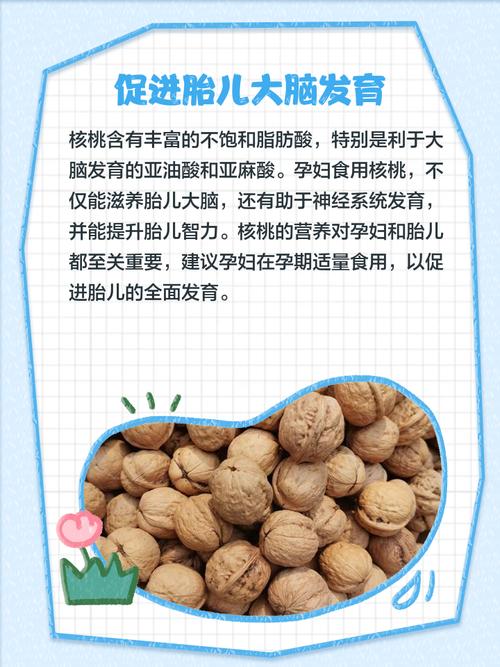 怀孕期一天到底吃几个核桃才最科学健康？-第3张图片-郑州医学网