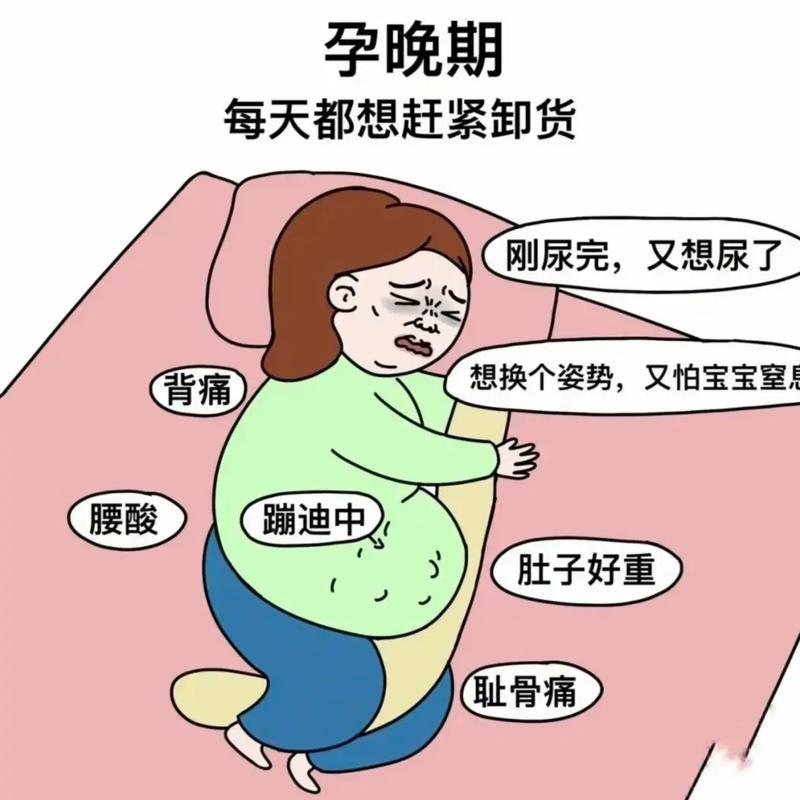 怀孕期间食欲一直不好-第3张图片-郑州医学网