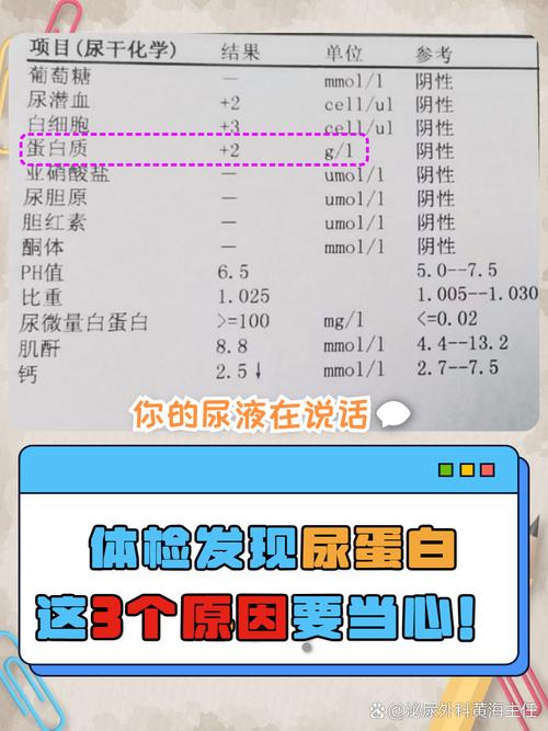 怀孕期间尿蛋白3个加，是肾脏出问题了吗？对胎儿有影响吗？-第1张图片-郑州医学网