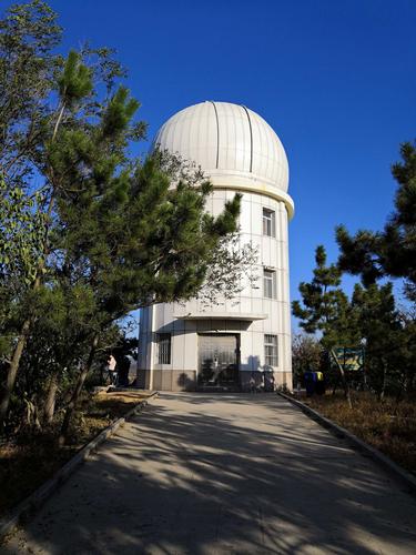 孕期6个月能吃玛珈吗-第1张图片-郑州医学网 孕期6个月能吃玛珈吗-第1张图片-郑州医学网