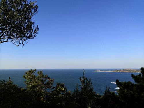 孕期6个月能吃玛珈吗-第2张图片-郑州医学网