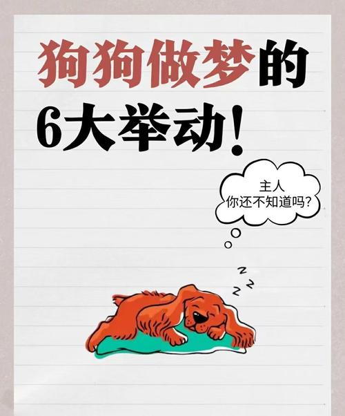 备孕梦到两只小狗，是暗示孕期有双胞胎吗？-第1张图片-郑州医学网